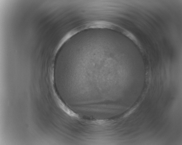 X0000081611130200701221155