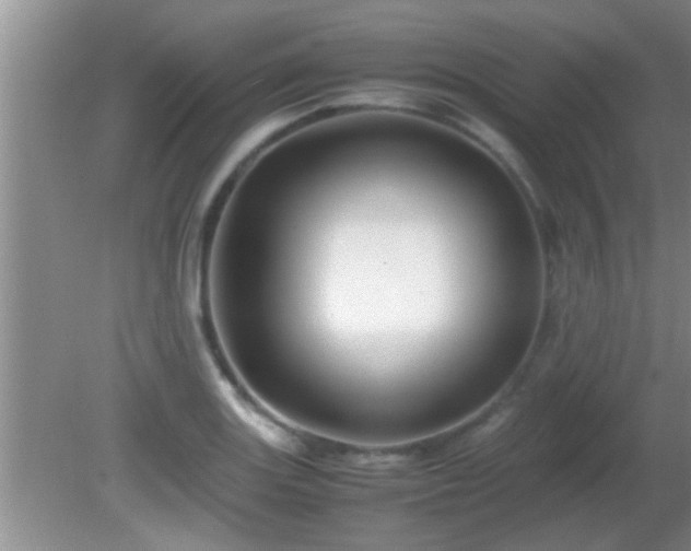 X0000081611131200701221155