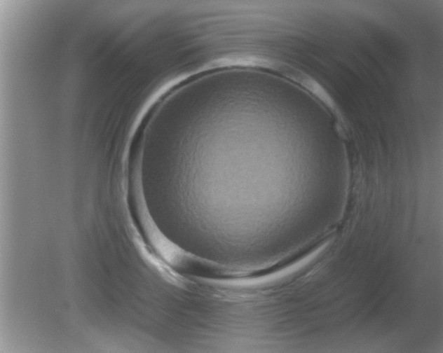 X0000081611132200701221155