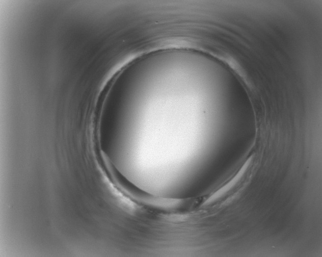 X0000081611134200701221155