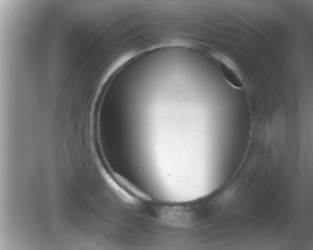 X0000081611135200701221155