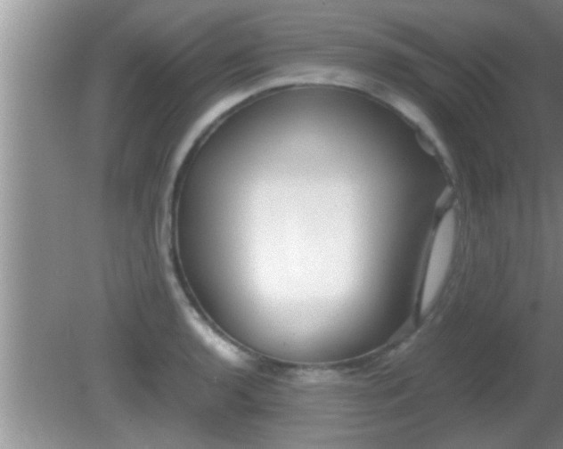 X0000081611136200701221155