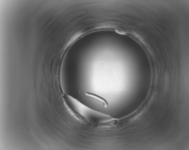 X0000081611137200701221155