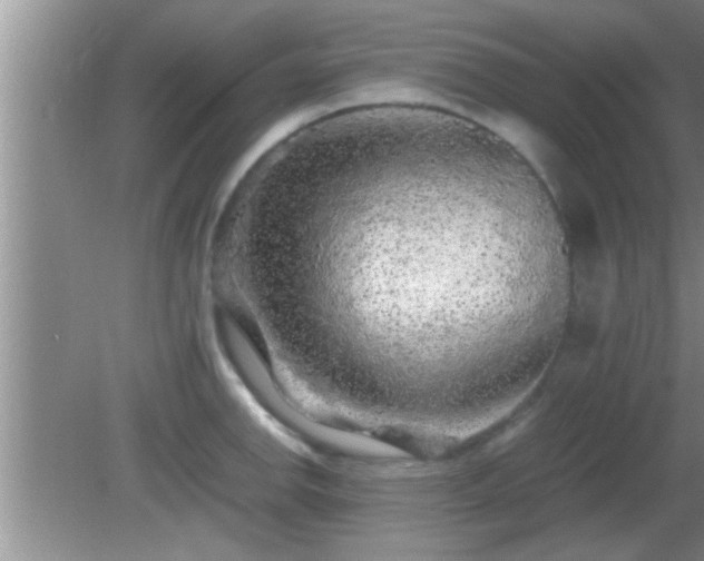 X0000081611142200701221155