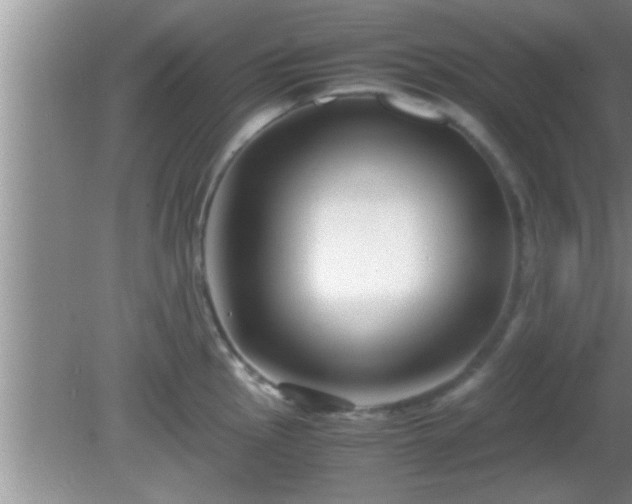 X0000081611145200701221155