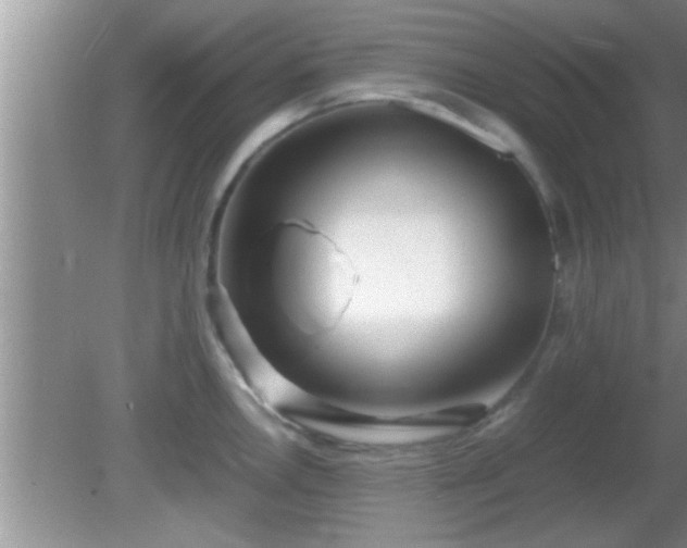 X0000081611146200701221155