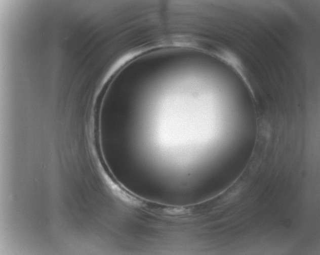 X0000081611147200701221155