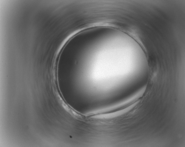 X0000081611148200701221155