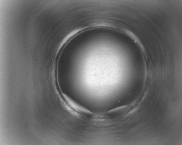 X0000081611149200701221156