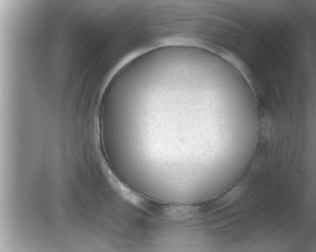 X0000081611150200701221156