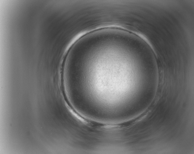 X0000081611151200701221156