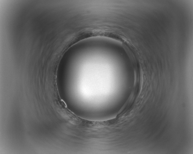 X0000081611153200701221155