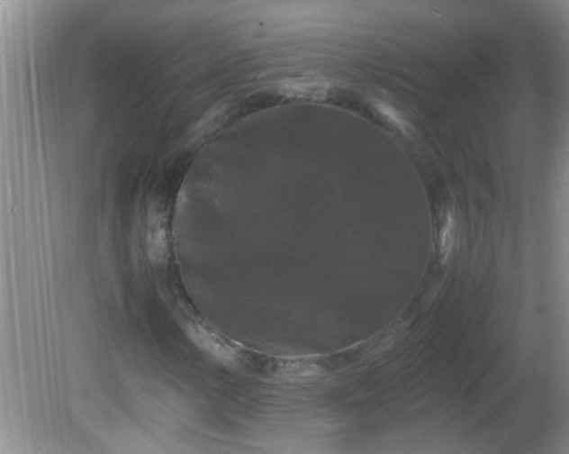 X0000081611154200701221155