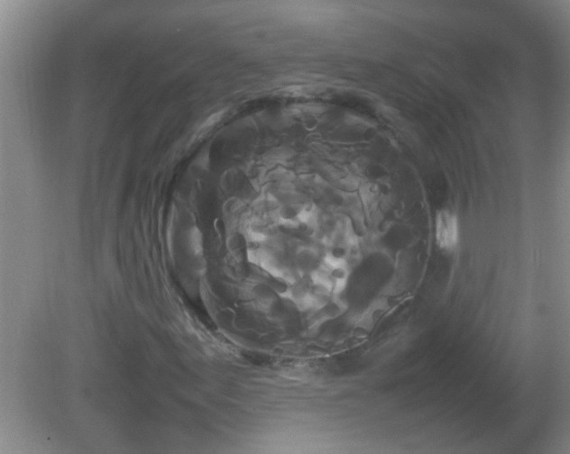 X0000081611155200701221155