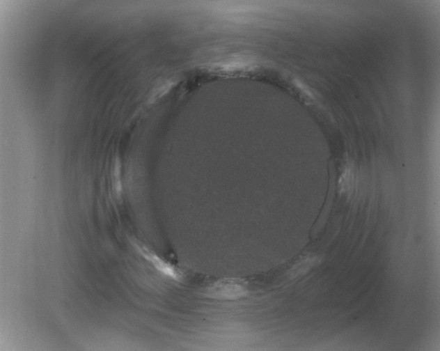 X0000081611156200701221155