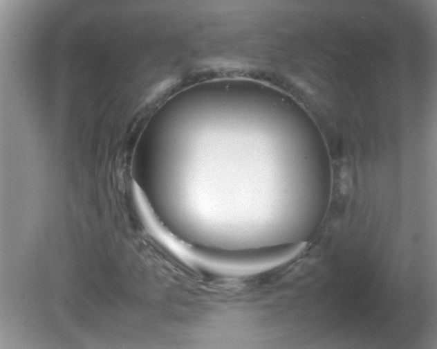 X0000081611157200701221155