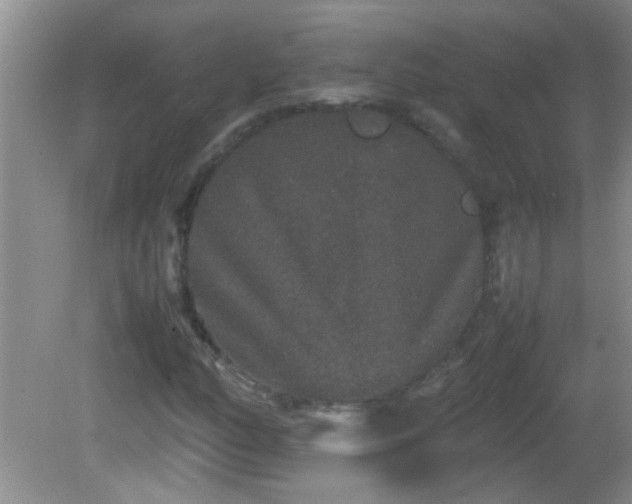 X0000081611158200701221155