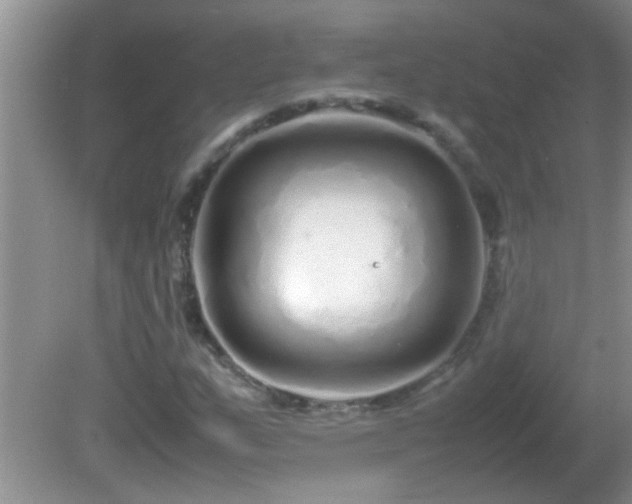 X0000081611159200701221155