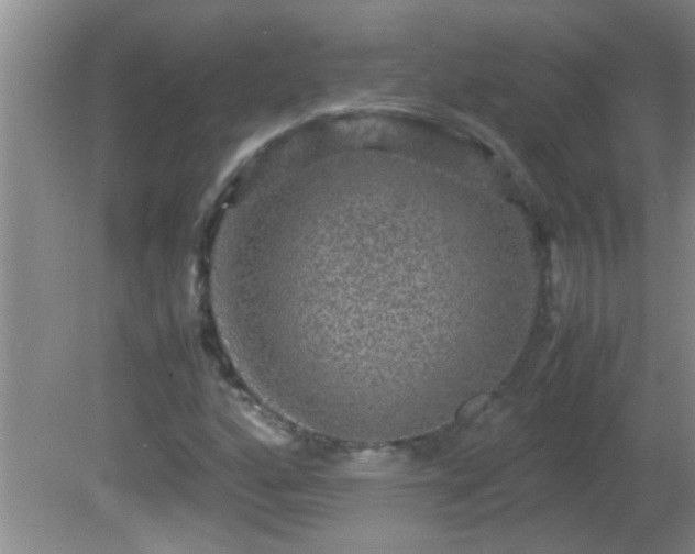 X0000081611160200701221155