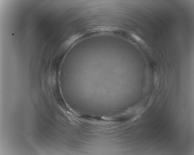 X0000081611161200701221155