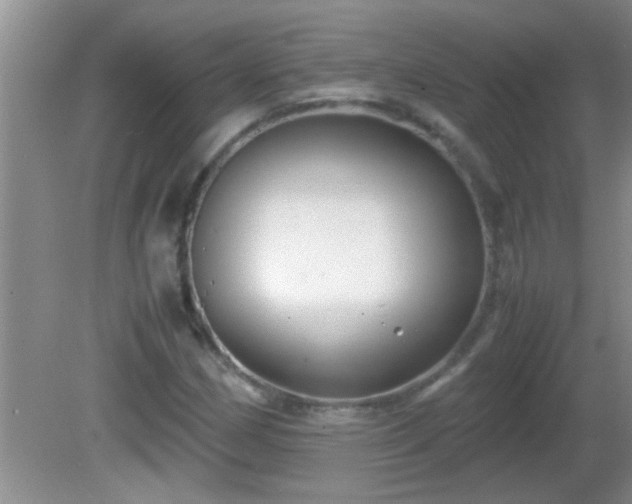 X0000081611162200701221155