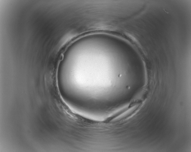 X0000081611163200701221155