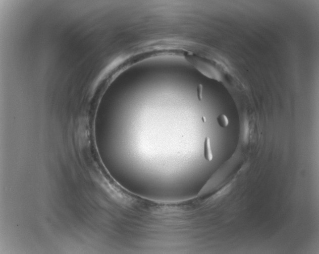 X0000081611164200701221155