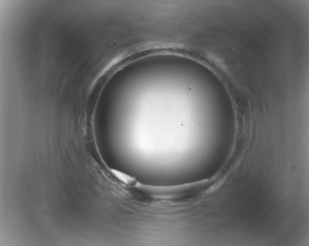 X0000081611165200701221155