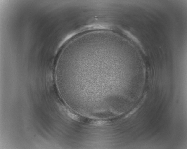 X0000081611166200701221155