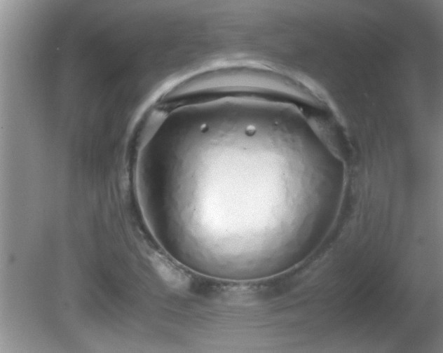 X0000081611167200701221155