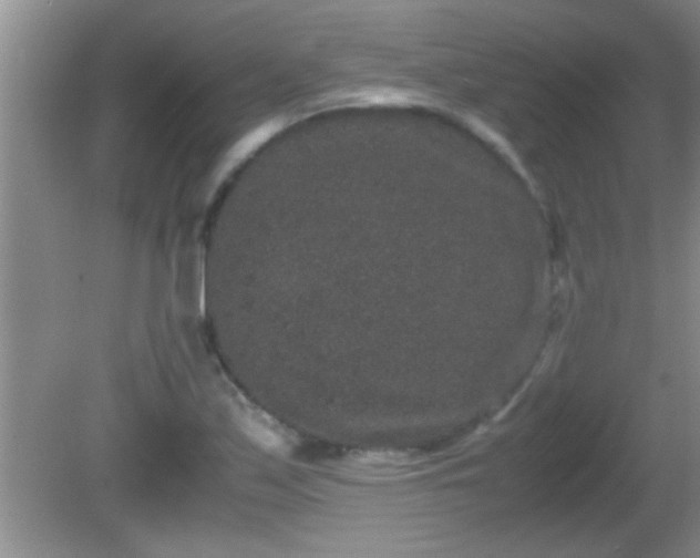 X0000081611171200701221154