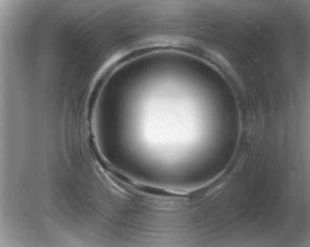 X0000081611172200701221154