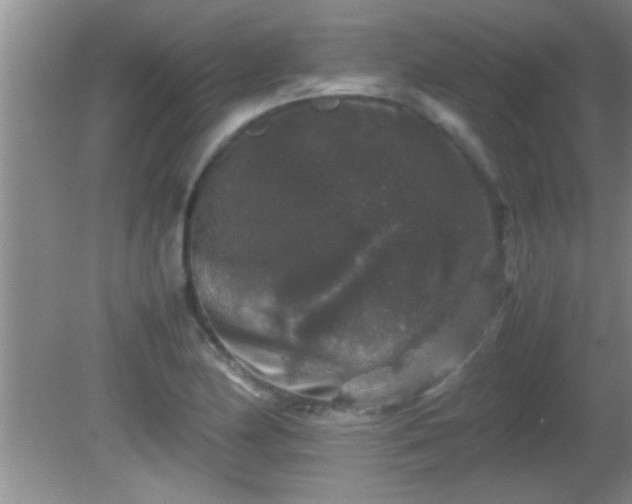 X0000081611174200701221154