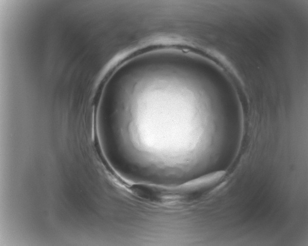 X0000081611175200701221154