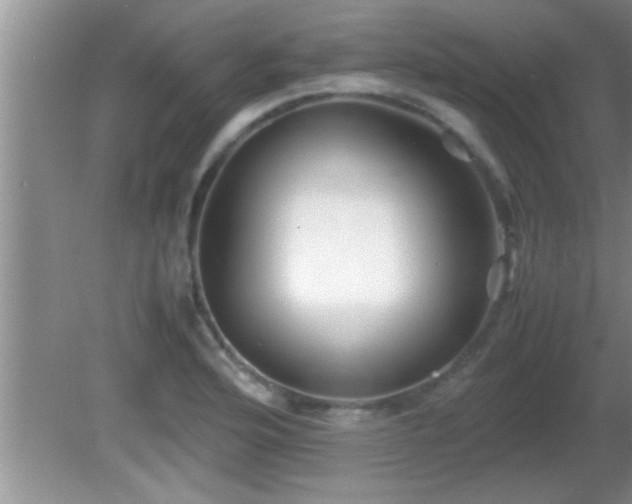 X0000081611176200701221154