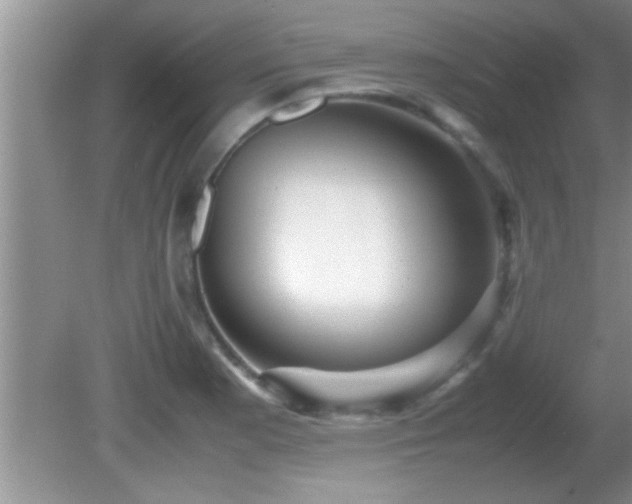 X0000081611177200701221154