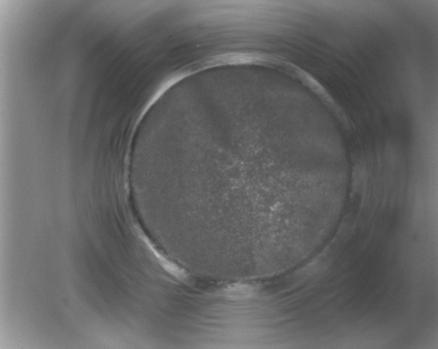 X0000081611178200701221154