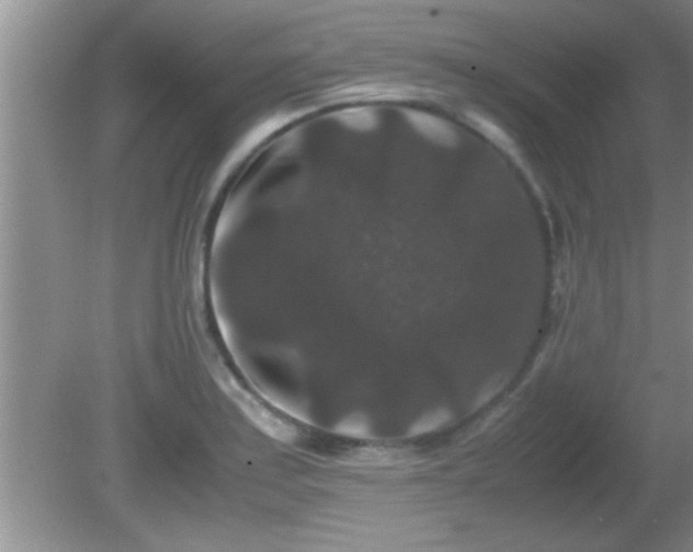 X0000081611179200701221154