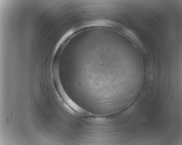 X0000081611180200701221154