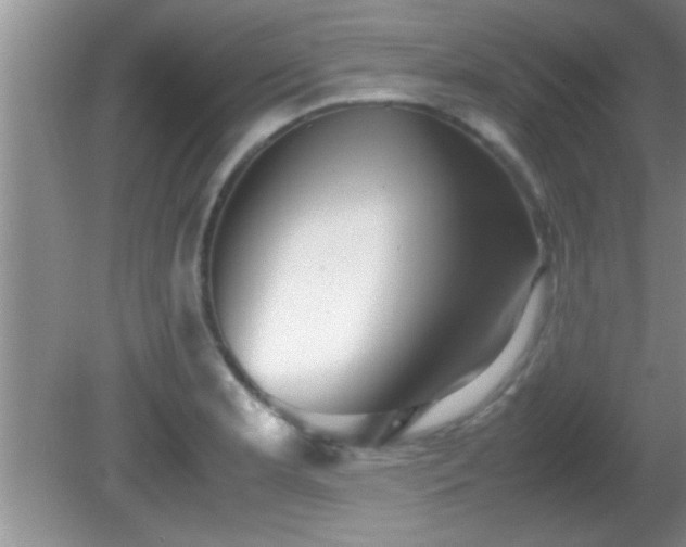 X0000081611181200701221154