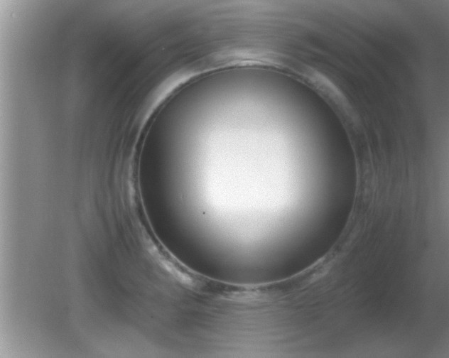 X0000081611182200701221154