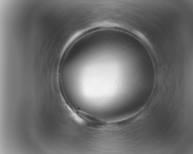 X0000081611183200701221154