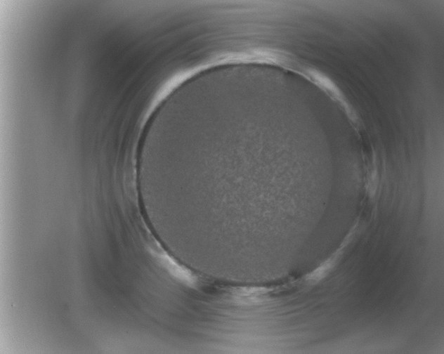 X0000081611184200701221154