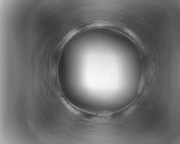 X0000081611185200701221154