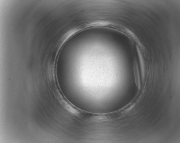 X0000081611186200701221154