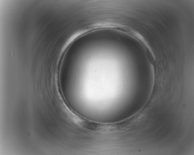 X0000081611187200701221154