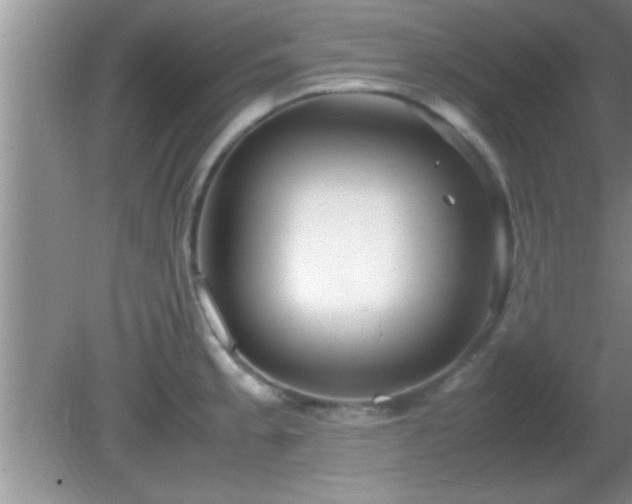 X0000081611189200701221154