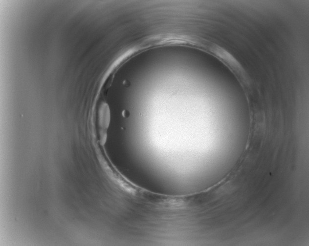 X0000081611190200701221154