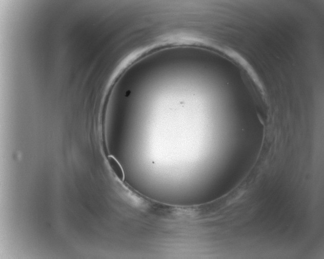 X0000081611191200701221154