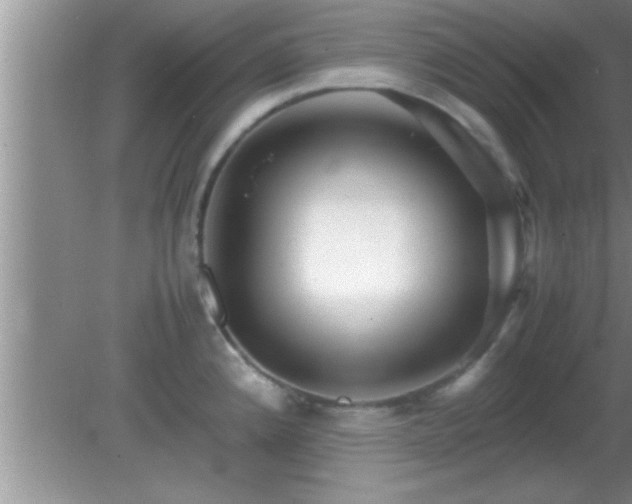 X0000081611192200701221154